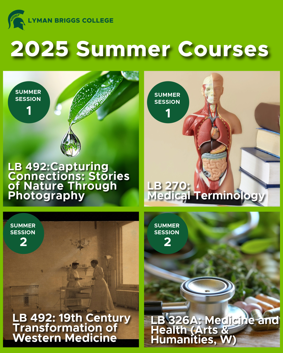 Summer courses offer flexibility for students wishing to earn credits