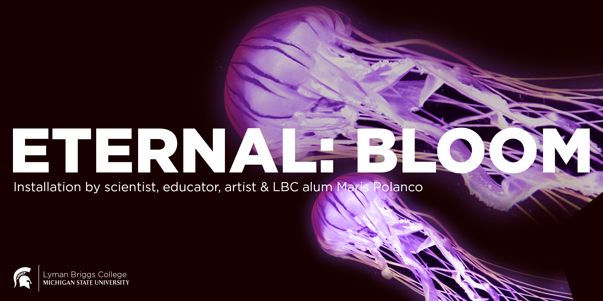 ETERNAL: BLOOM image. Two glowing purple jellyfish in the background 