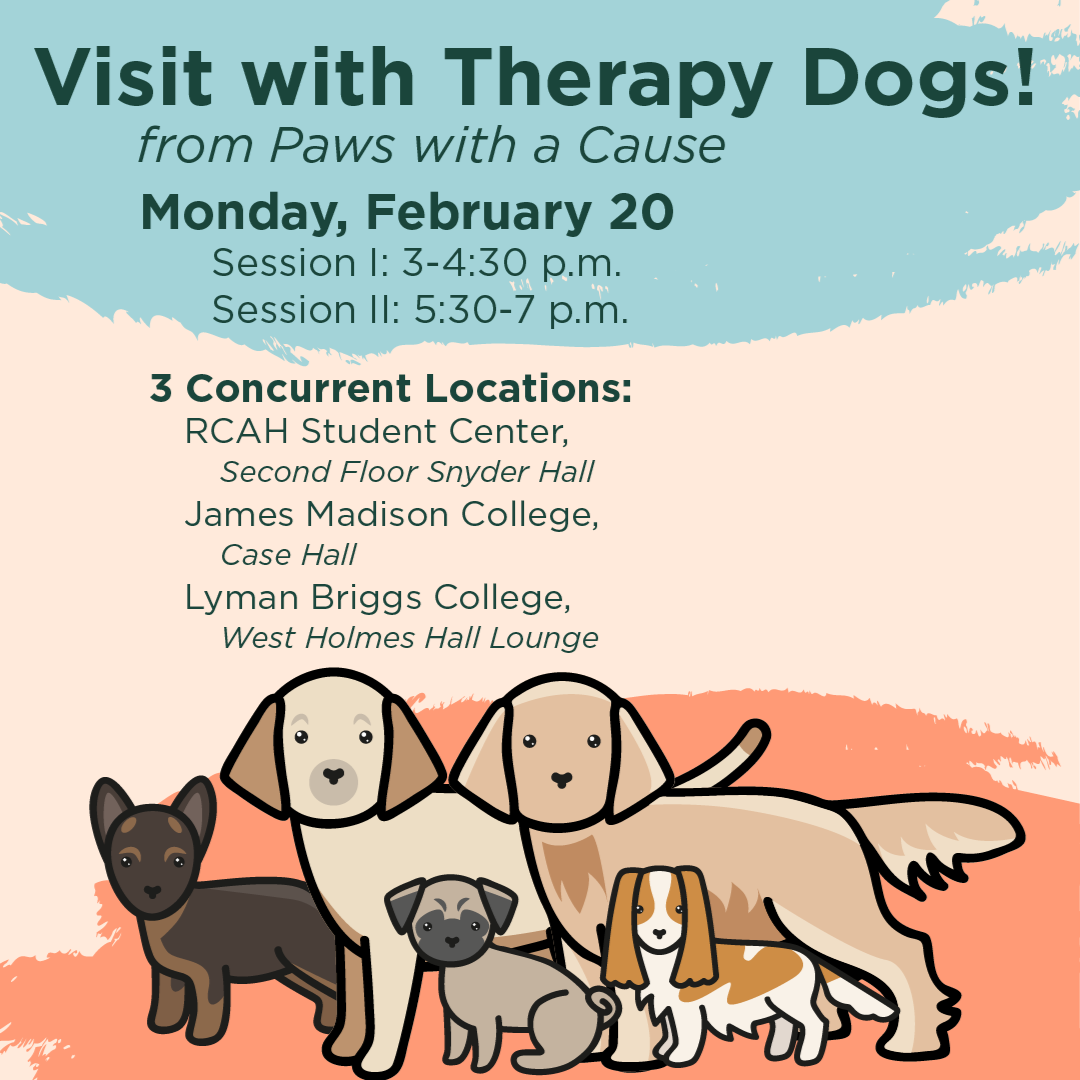 therapy dogs
