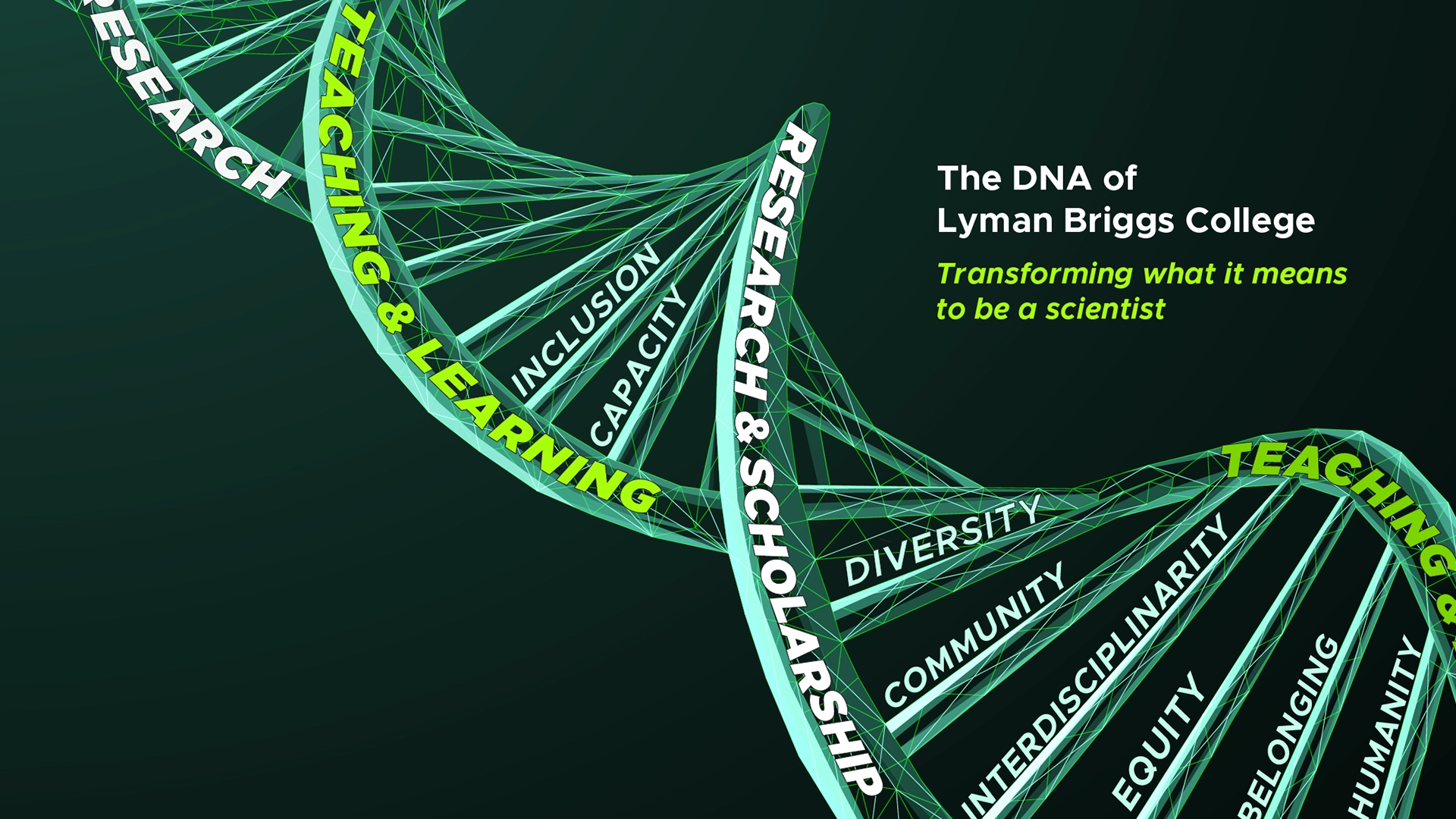 graphic of DNA overlaid with values and goals and objectives on how LBC will achieve our vision