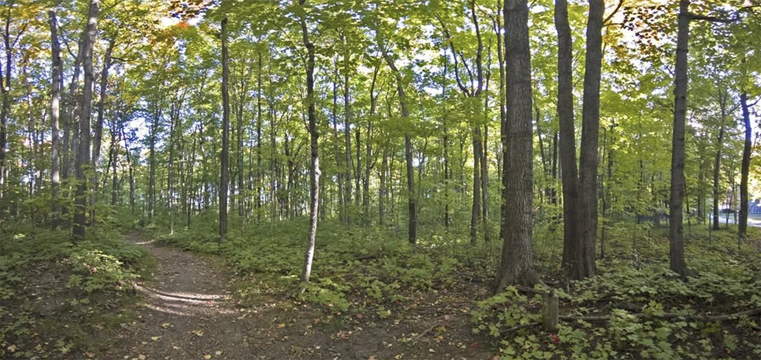 Sanford Natural Area, which is north of LBC