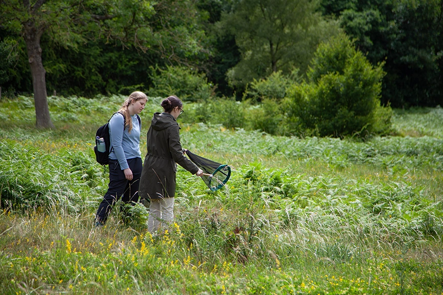 Students taking samples in Wytham Woods