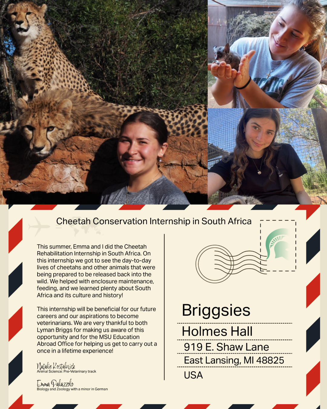 postcard of students who did the Cheetah Conservation Internship. Pictures of cheetahs and other mammals in close proximity to the smiling students.