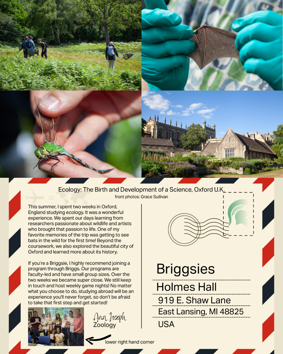 array of four images: two up close of hands holding a dragonfly and a bat wing, one of four or five participants with nets in Wytham Woods, and the other, one of the colleges of Oxford University
