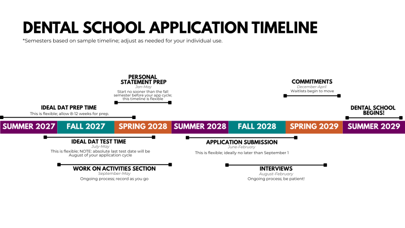 Dental school application timeline