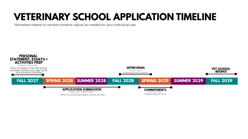 Veterinary School Application Timeline