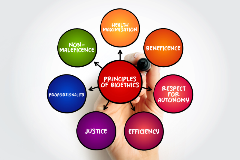 Principles of Bioethics graphic